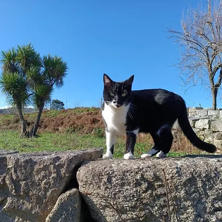 Pedra Alva Casa de Campo
